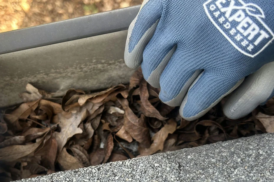 Gutter Cleaning Lansing, KS