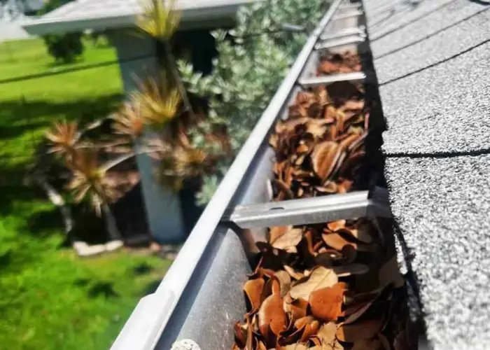 Gutter Cleaning Lansing, KS home page